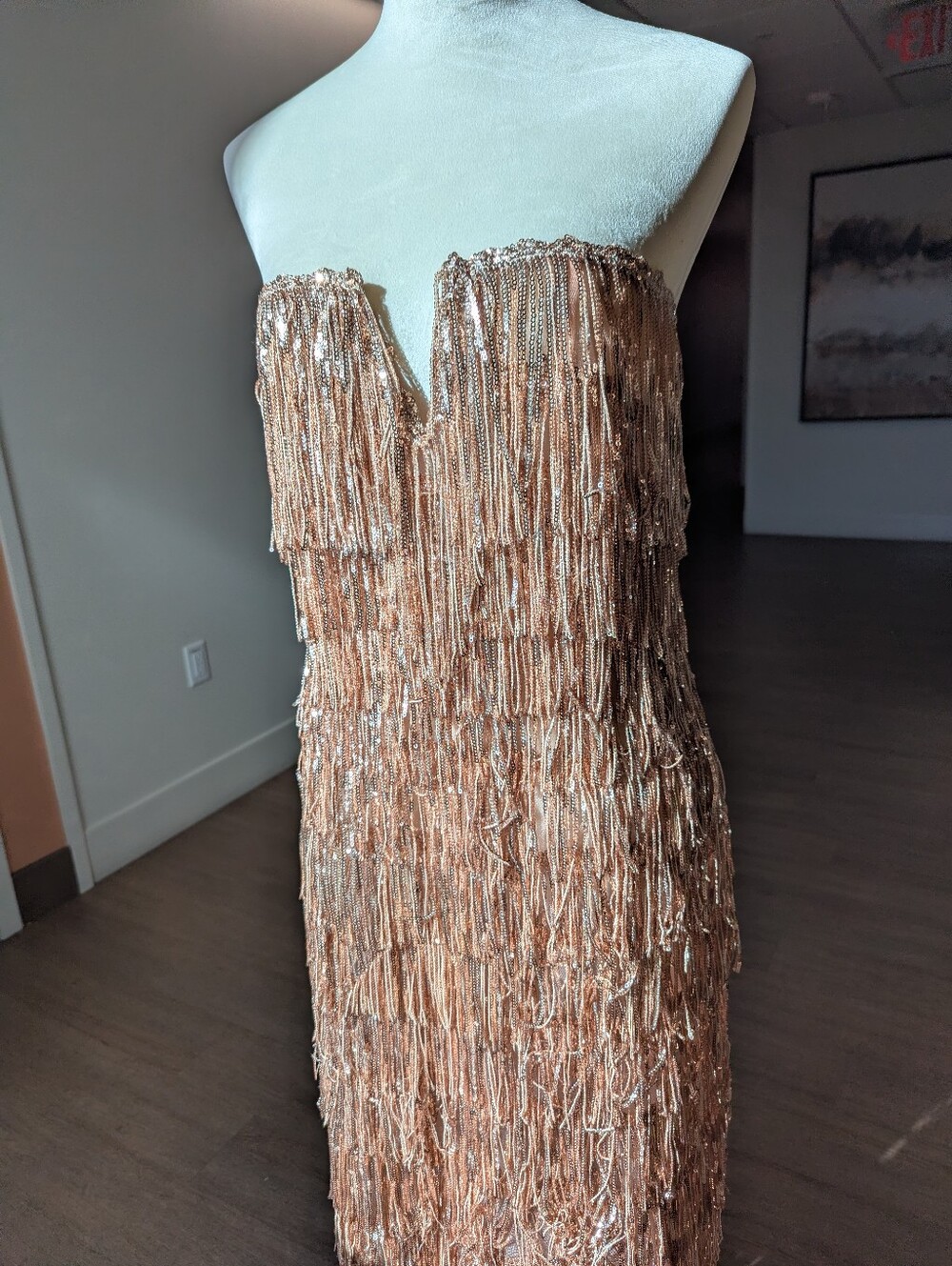 Blush RoseNova Lux Gold Fringe Sequin Column Dress